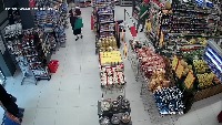 Dataset Image