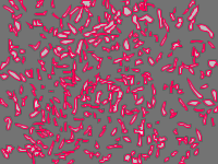 Annotation Visualization