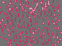 Annotation Visualization