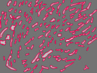 Annotation Visualization