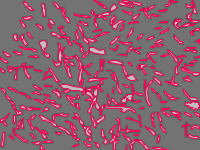Annotation Visualization