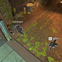 Dataset Image