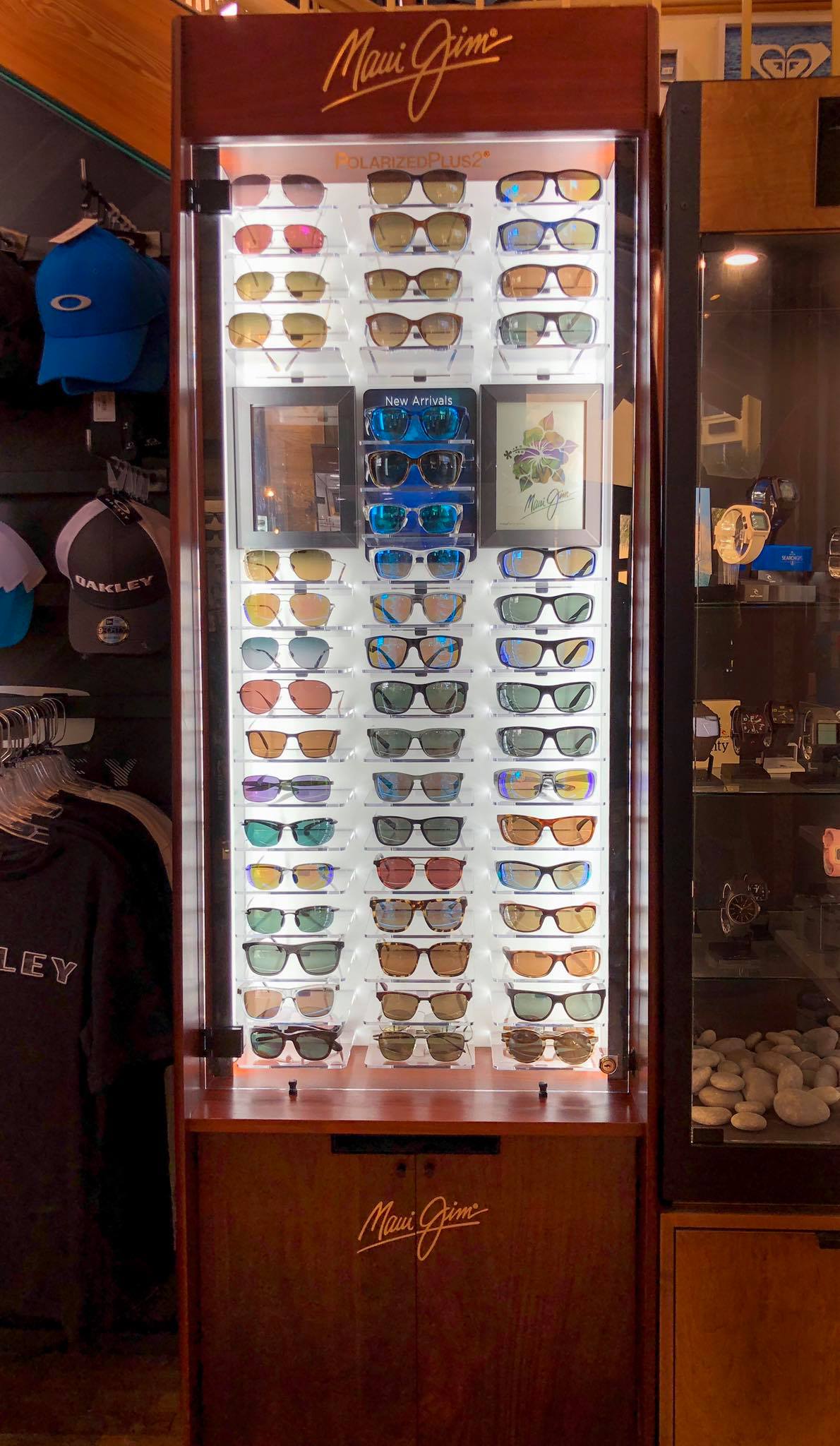 DisplayCases Object Detection Dataset by Private Lorena