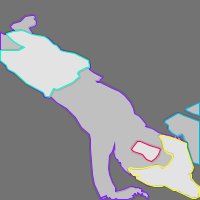 Annotation Visualization