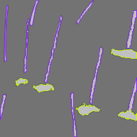 Annotation Visualization