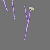 Annotation Visualization