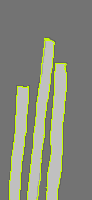 Annotation Visualization