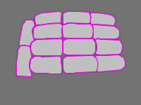 Annotation Visualization