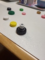 Dataset Image