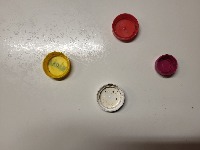 Dataset Image