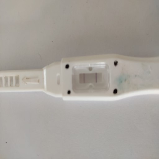 How to Use the strip classification Classification API