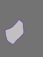 Annotation Visualization