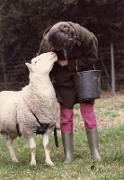 Dataset Image