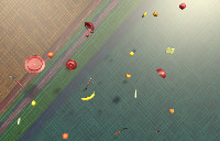 Dataset Image