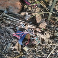 Dataset Image