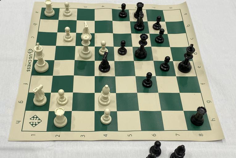 Chess Sample Computer Vision Dataset by Tutorial