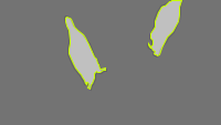 Annotation Visualization