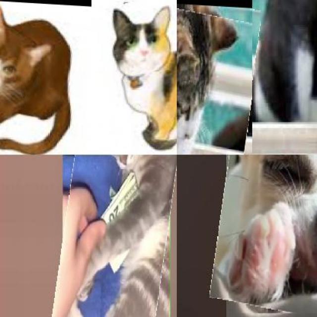Dog_Cat Object Detection Dataset and PreTrained Model by sb