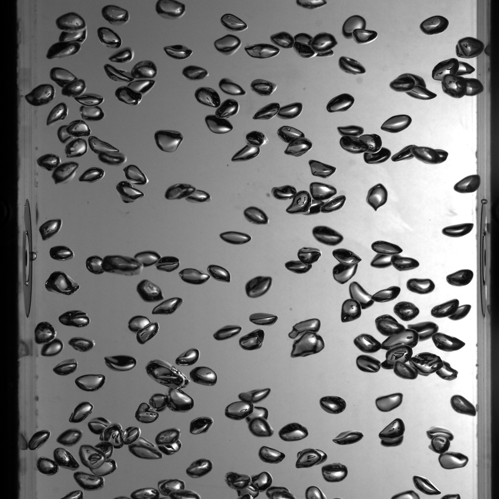 mlinvestigationofcomplexfluidphysics-roboflow-universe