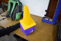 Dataset Image