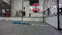 Dataset Image