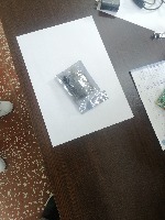 Dataset Image