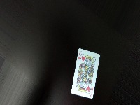 Dataset Image