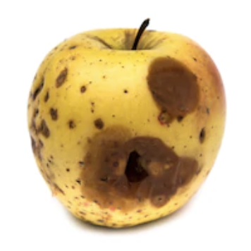 Sample RGB database images a rotten apple, b rotten avocado, c rotten