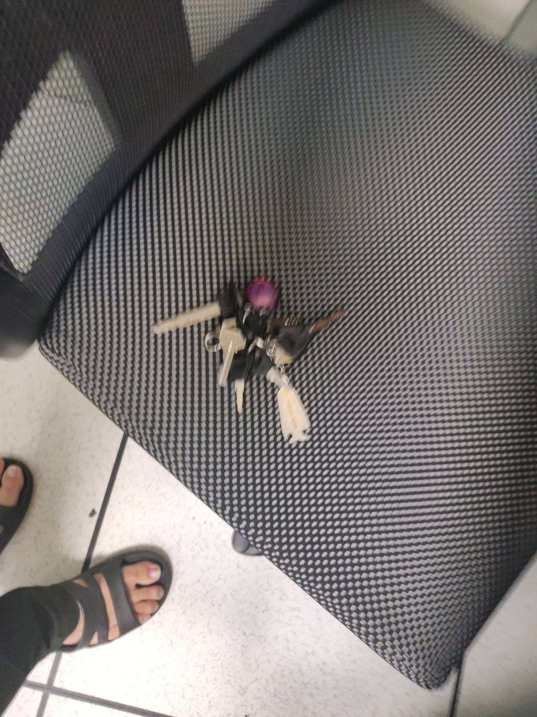 Lab7_EfficientDet Object Detection Dataset by Zhong Hua Da