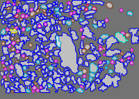 Annotation Visualization