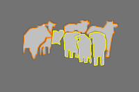 Annotation Visualization