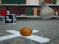 Dataset Image