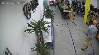 Dataset Image