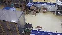 Dataset Image