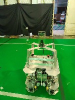 Dataset Image