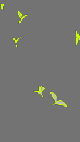 Annotation Visualization