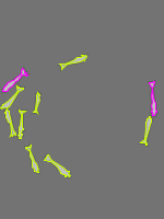 Annotation Visualization