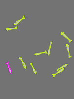 Annotation Visualization