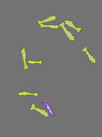 Annotation Visualization
