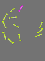 Annotation Visualization
