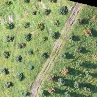 Dataset Image