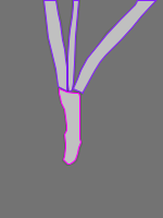 Annotation Visualization