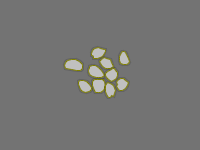 Annotation Visualization