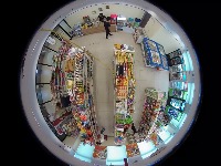 Dataset Image