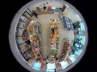 Dataset Image