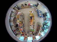 Dataset Image