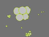 Annotation Visualization
