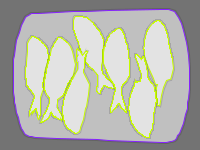 Annotation Visualization