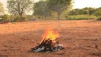 Dataset Image