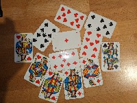 Dataset Image